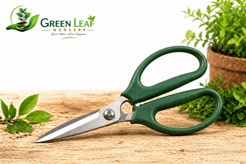 Garden Scissors Gardening Tools