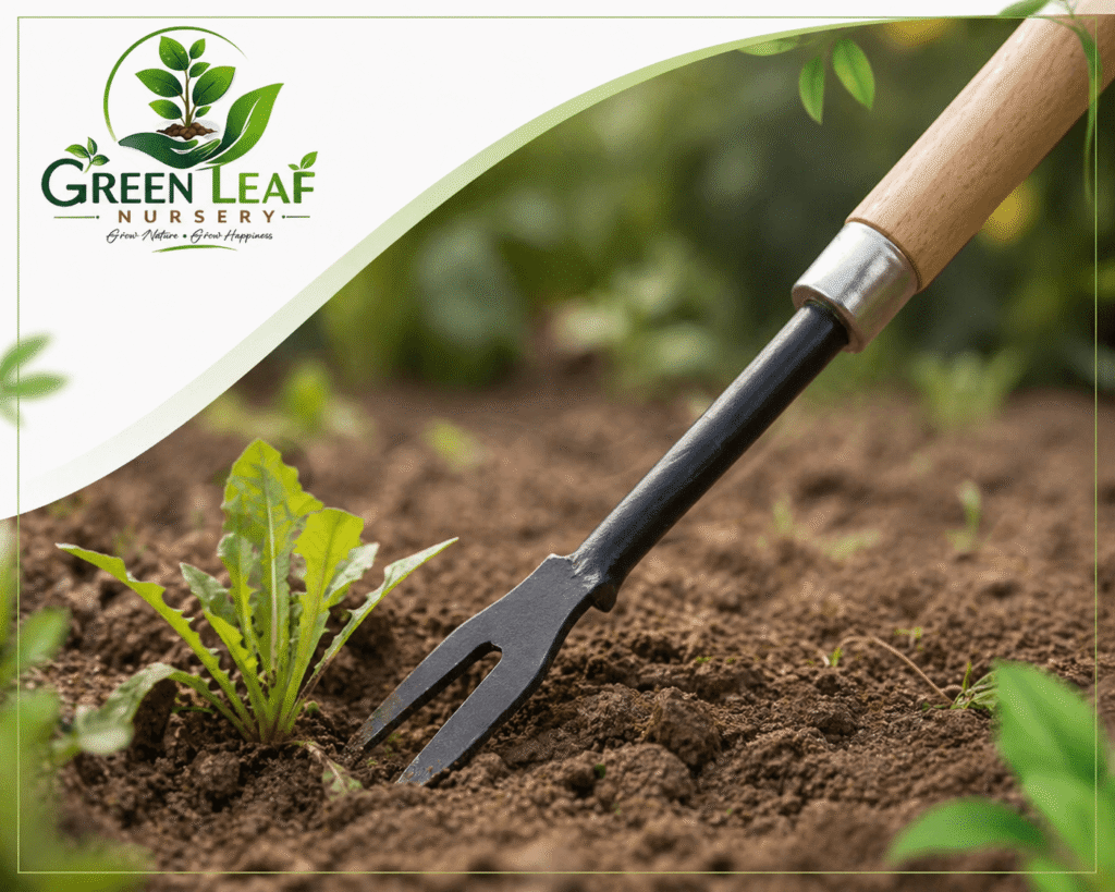 Weeder Gardening Tools